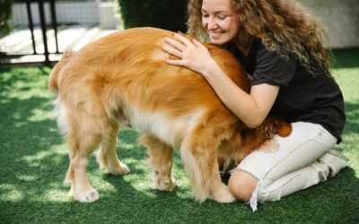 Why Golden Retrievers Are the Best Breed for First-Time Dog Owners